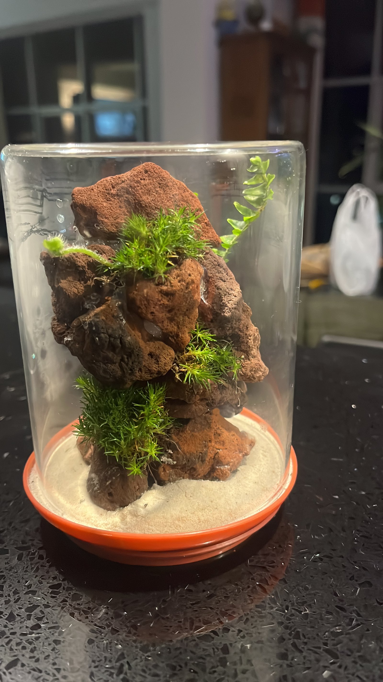 Terrario Huancavelica